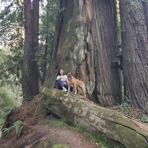 Meet your Posher, Sandi